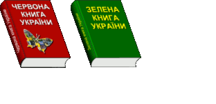 91-Red and Green Book